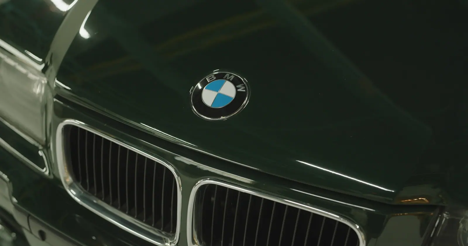 The kidney grille and the roundel, close