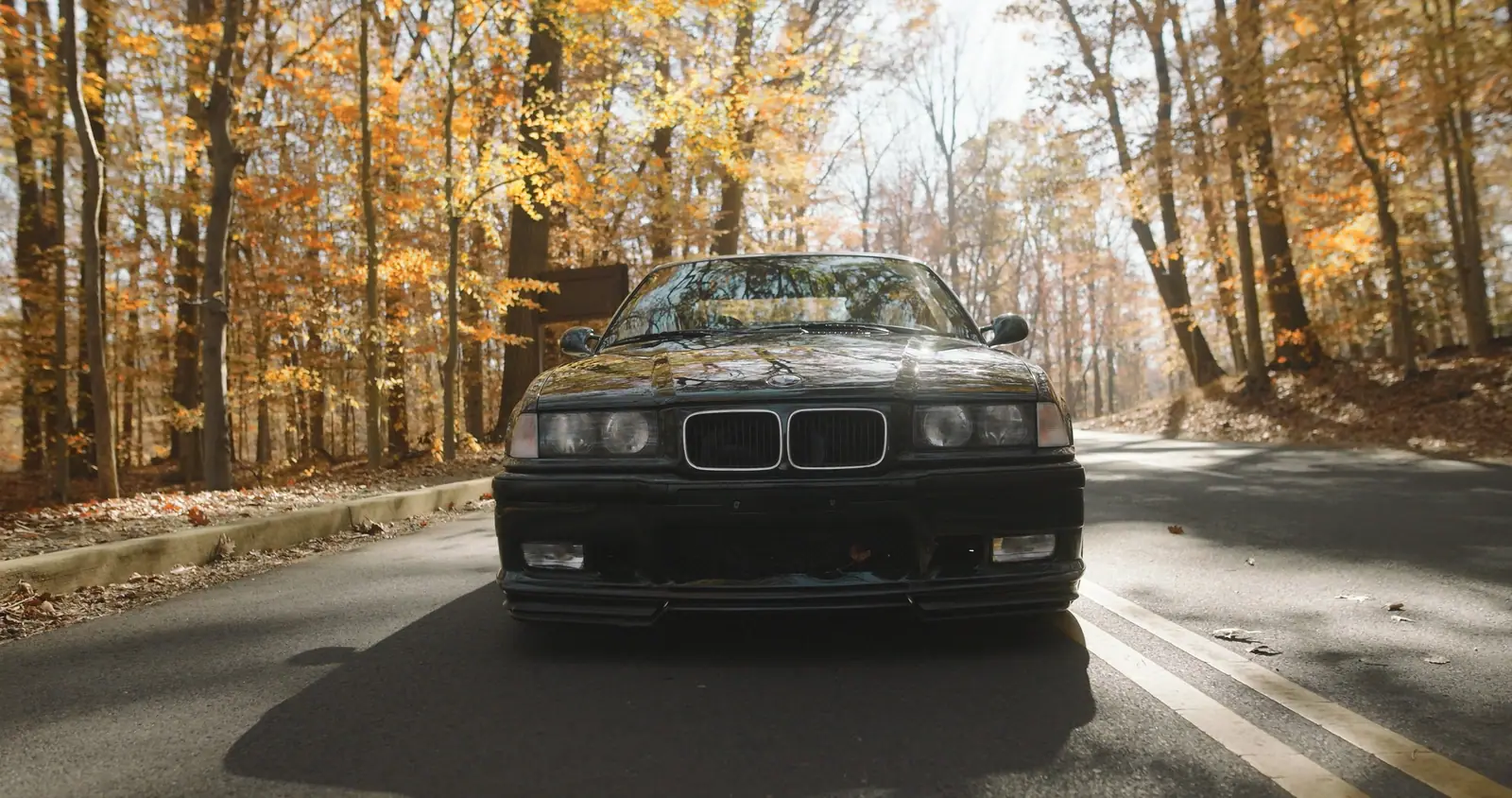 The M3 coming down a tunnel of trees