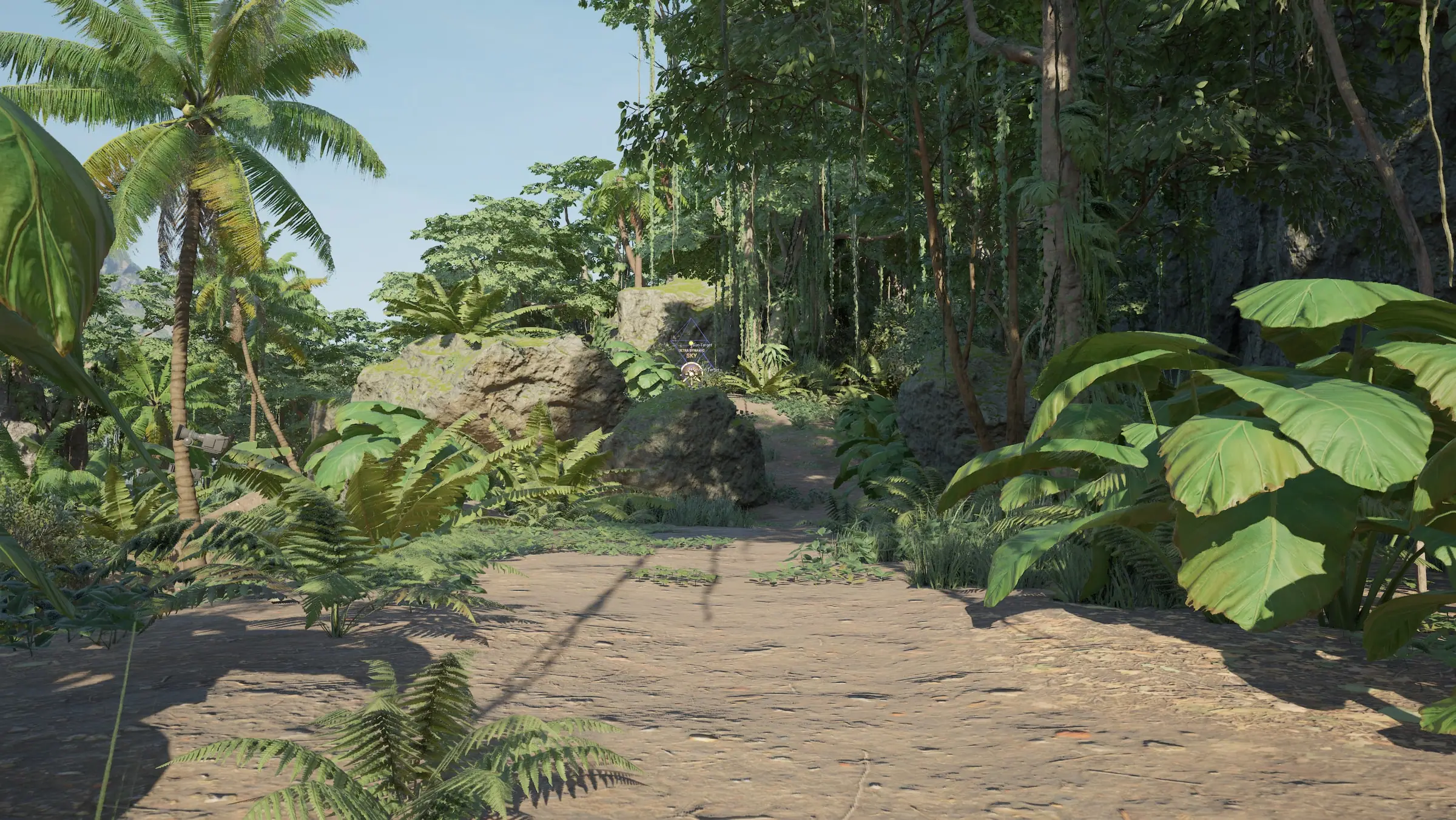 A jungle clearing
