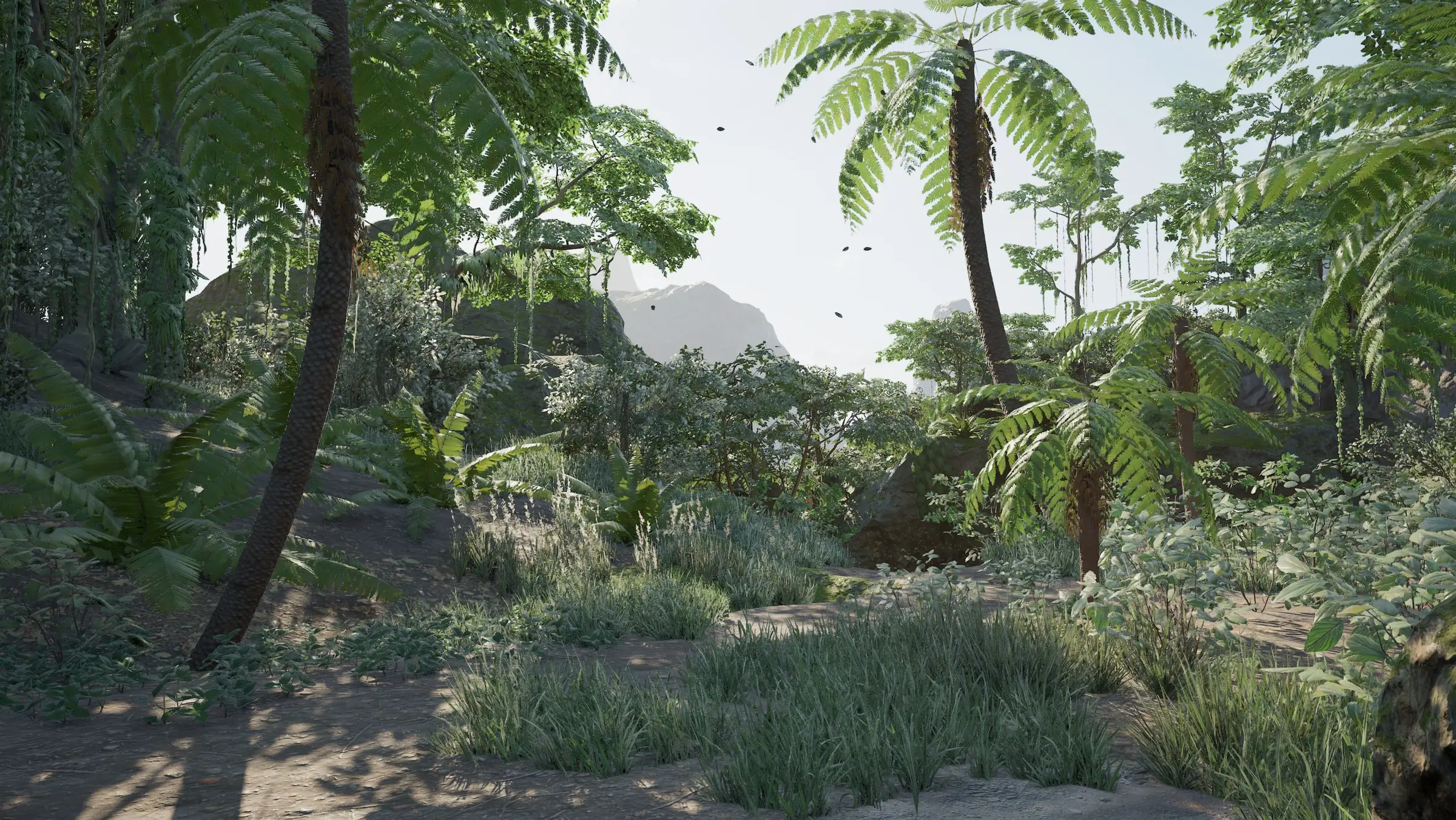 A jungle trail, palms and a mountain