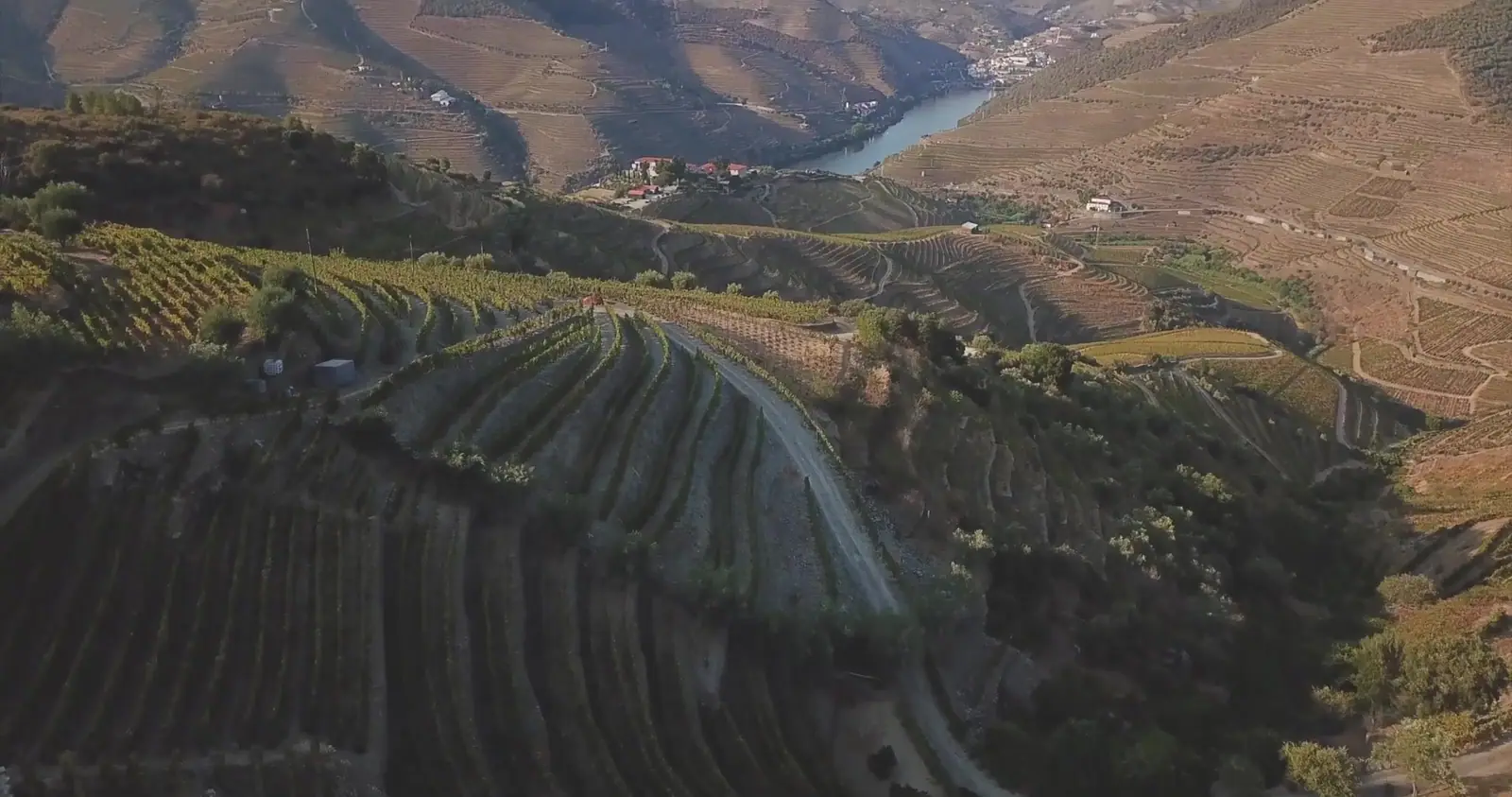 Rego Fine Wines, production still 7