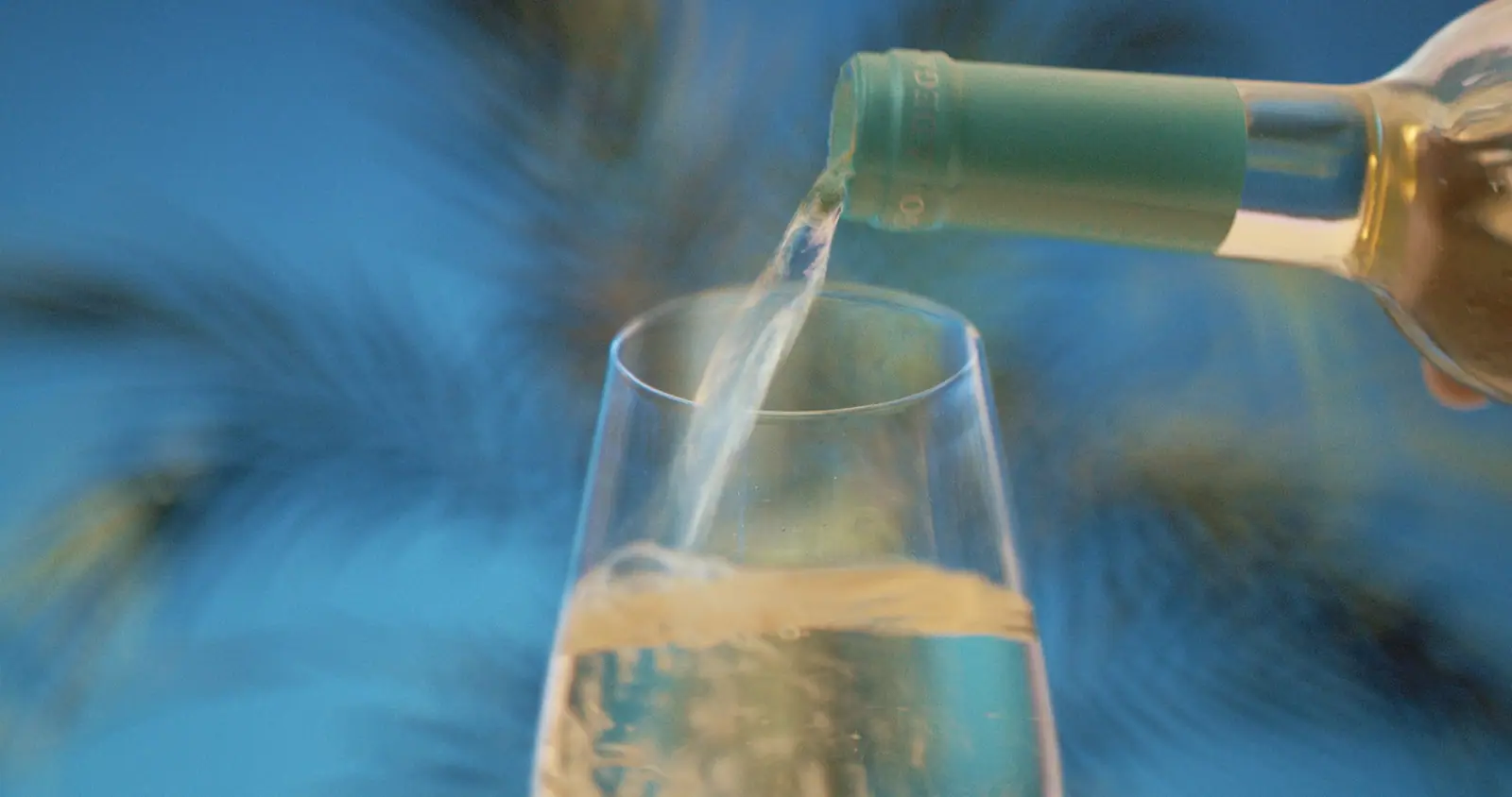 Rego Fine Wines, production still 9