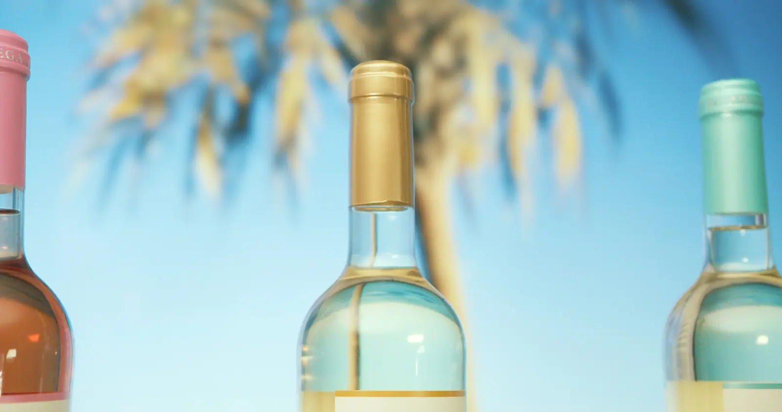 Rego Fine Wines, production still 12