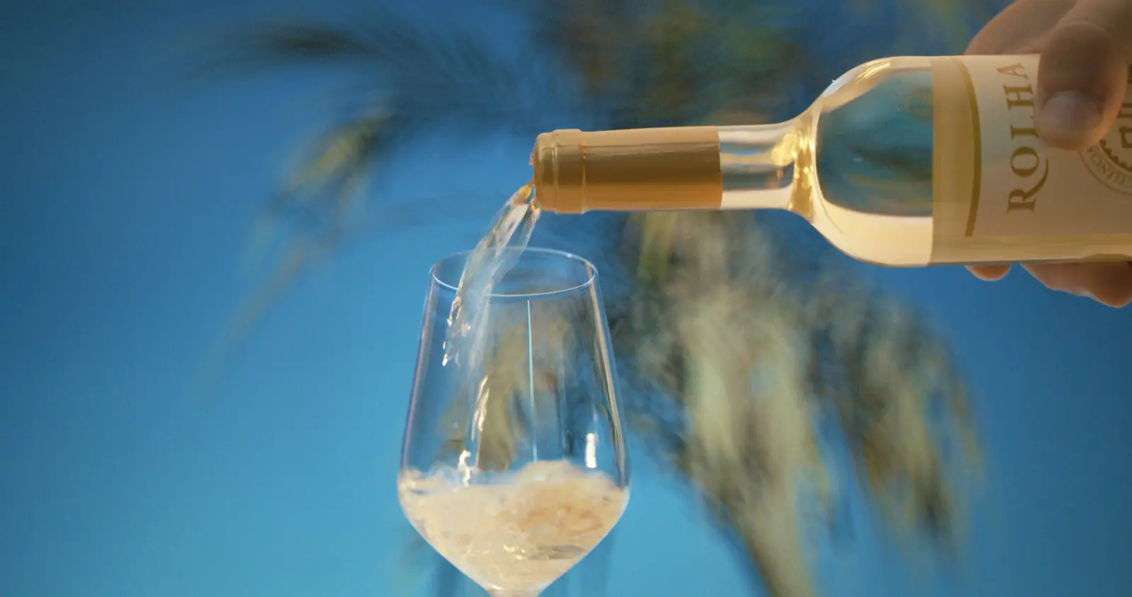 Rego Fine Wines, production still 13