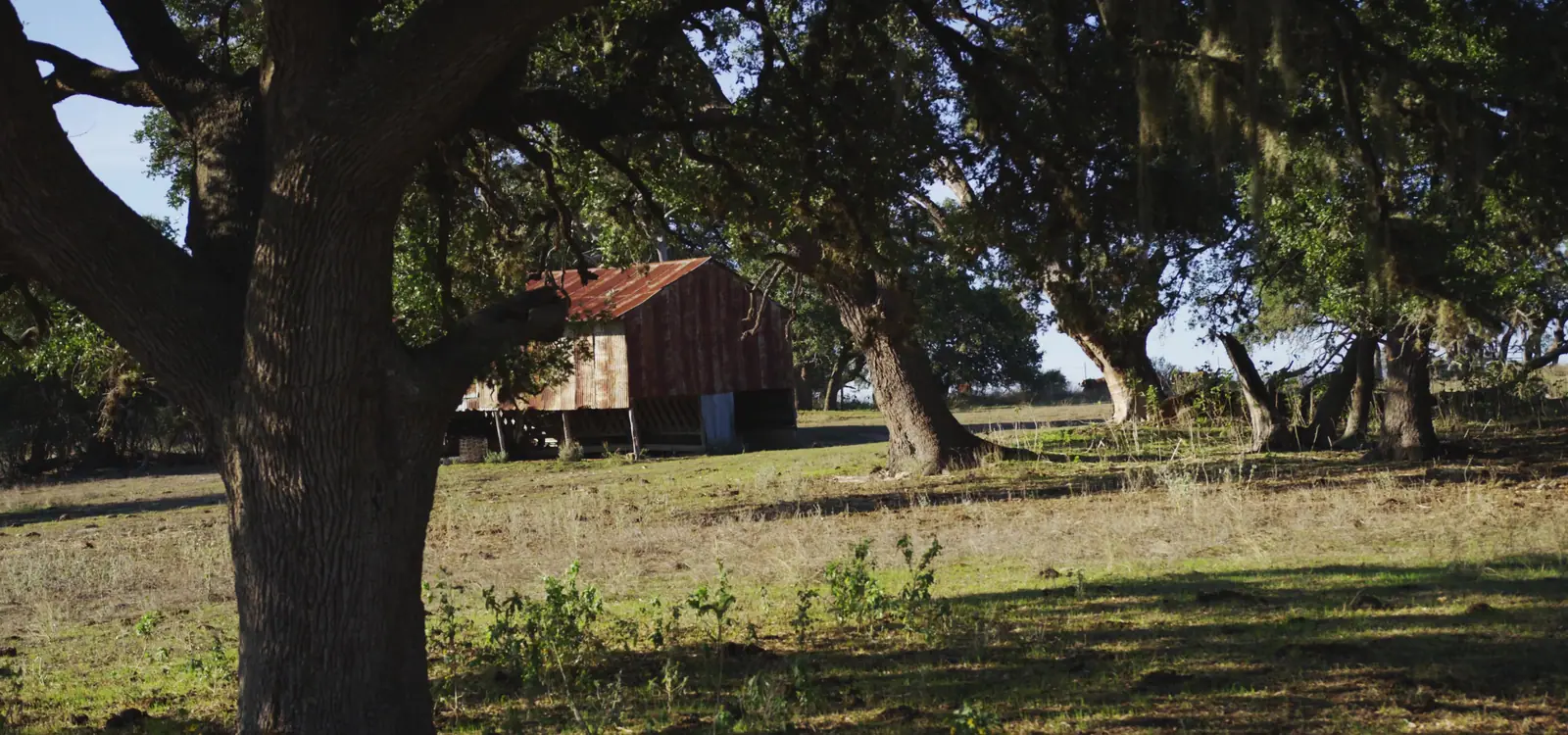 Travel + Leisure Co., production still 7